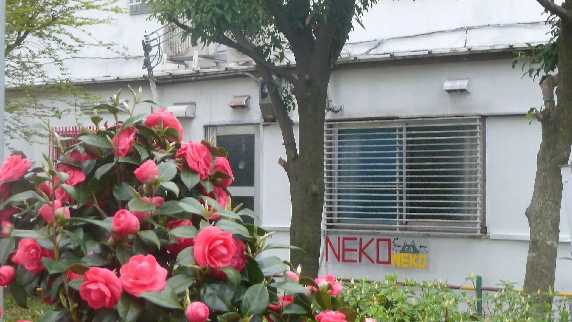Guest House Neko Neko Toyonaka